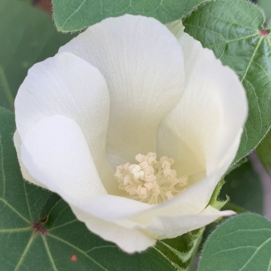 25fc0910d968d24e29f3a709dda1c3